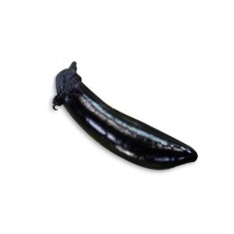 가지 1개