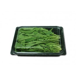 루꼴라 500g