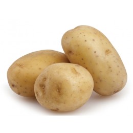 감자(대-상) 1kg